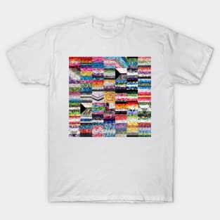 Pride Flags 2021 T-Shirt